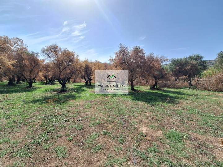 Corfu for sale
