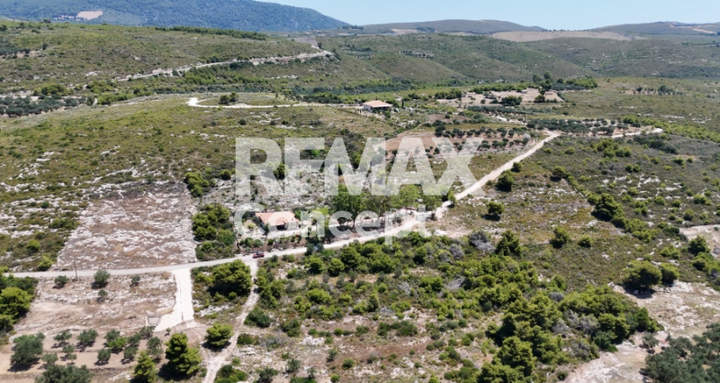 תמונת זקינתוס למכירה