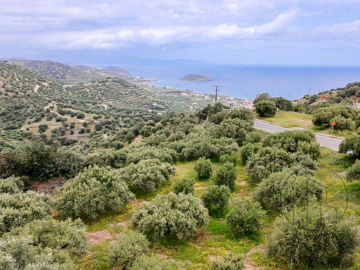 Sitia, Crete for sale