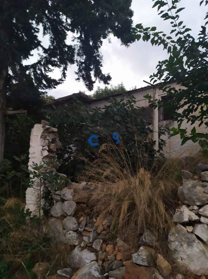 תמונת אפוקורנס, כרתים למכירה