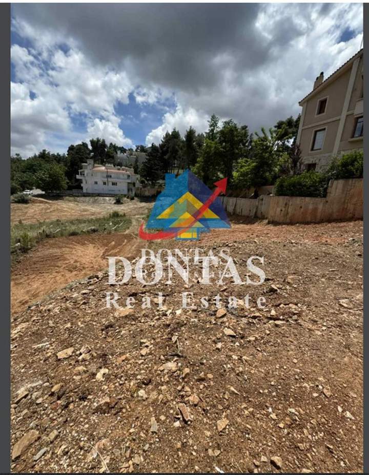 תמונת דיוניסוס, אתונה למכירה
