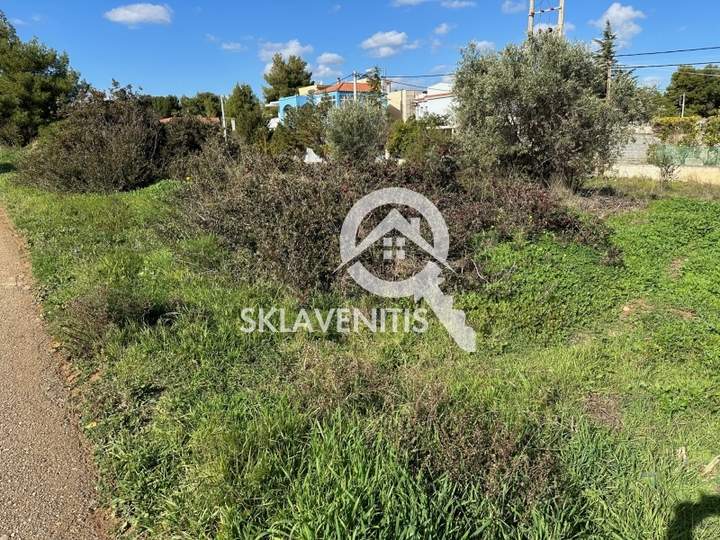 תמונת ספטה ארטמידה, אתונה למכירה