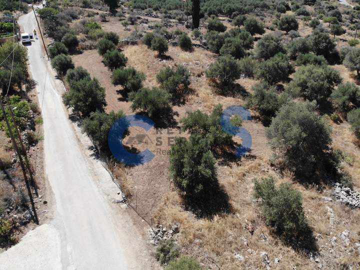 תמונת אפוקורנס, כרתים למכירה
