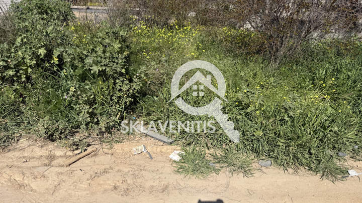 תמונת ספטה ארטמידה, אתונה למכירה