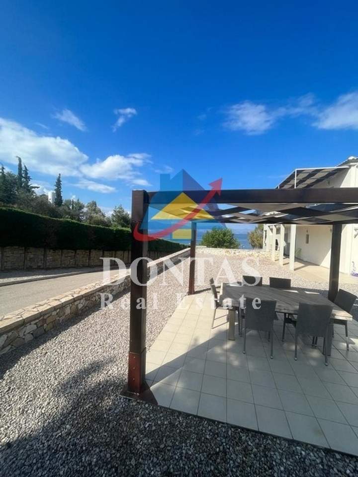 תמונת לורקוי, פתיוטיס למכירה