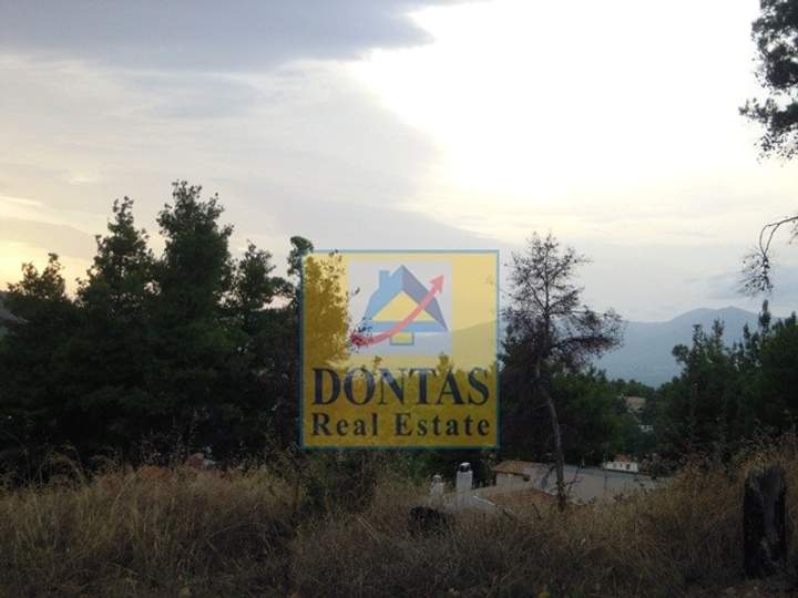 Dionysos, Athens for sale