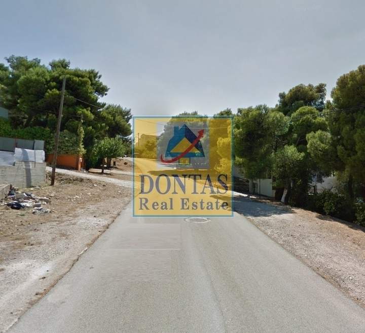 תמונת פאנטלי, אתונה למכירה