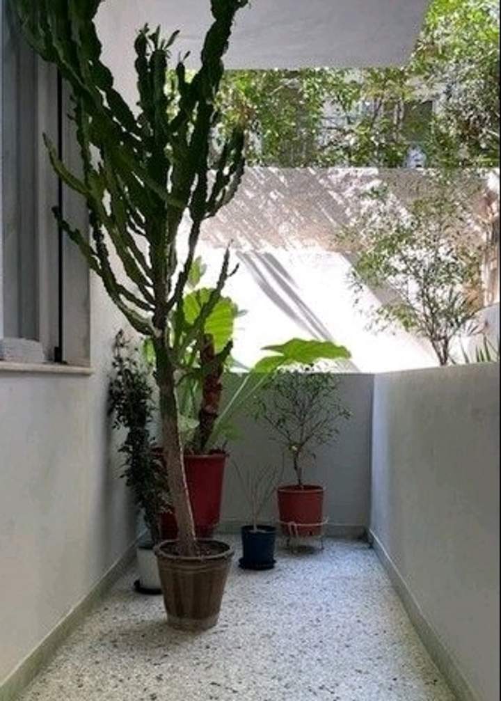 תמונת אנו קיפסלי, אתונה למכירה