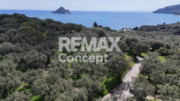 Zakynthos for sale