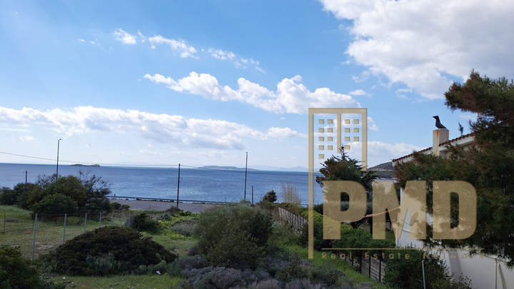 תמונת קורופי, אתונה למכירה