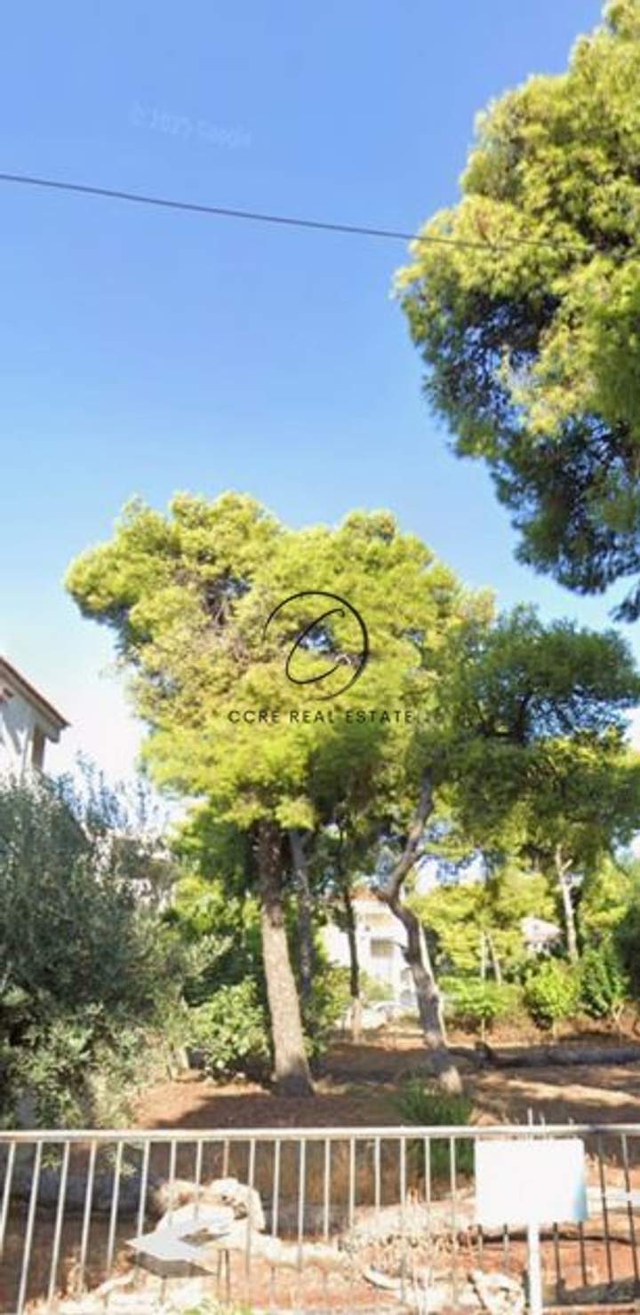 תמונת קיפיסיה, אתונה למכירה