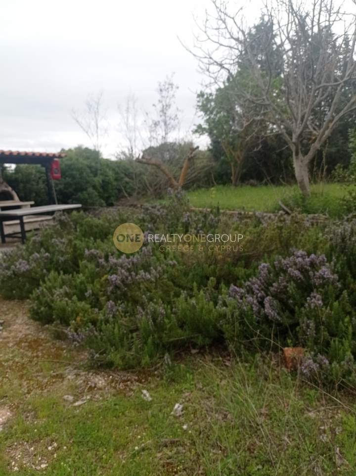 Oropos, Athens for sale