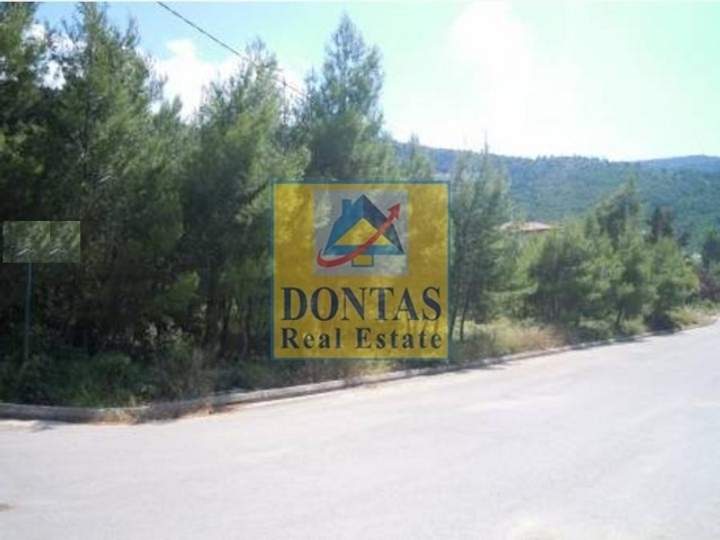 Dionysos, Athens for sale