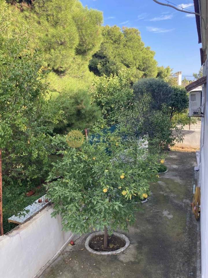 תמונת ספטה ארטמידה, אתונה למכירה