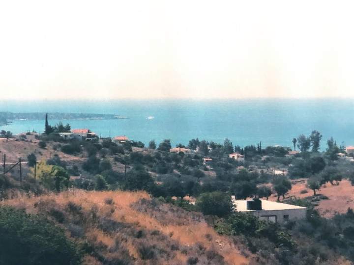 תמונת ארמיונידה, פלופונס למכירה