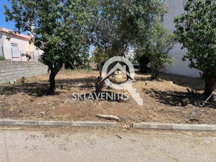 תמונת ספטה ארטמידה, אתונה למכירה