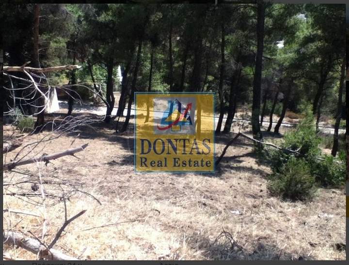 Dionysos, Athens for sale