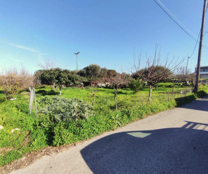 Kounoupidiana, Chania, Crete for sale