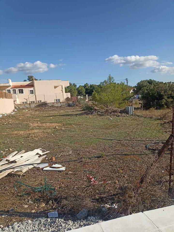 תמונת אכרניס, אתונה למכירה