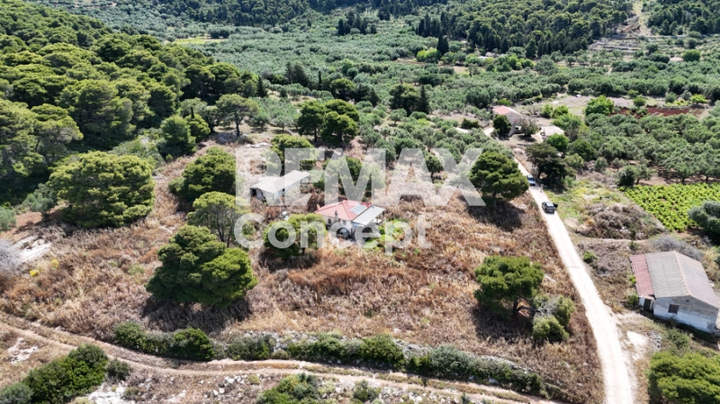 Zakynthos for sale