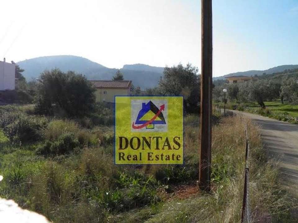 Image 2 of 2