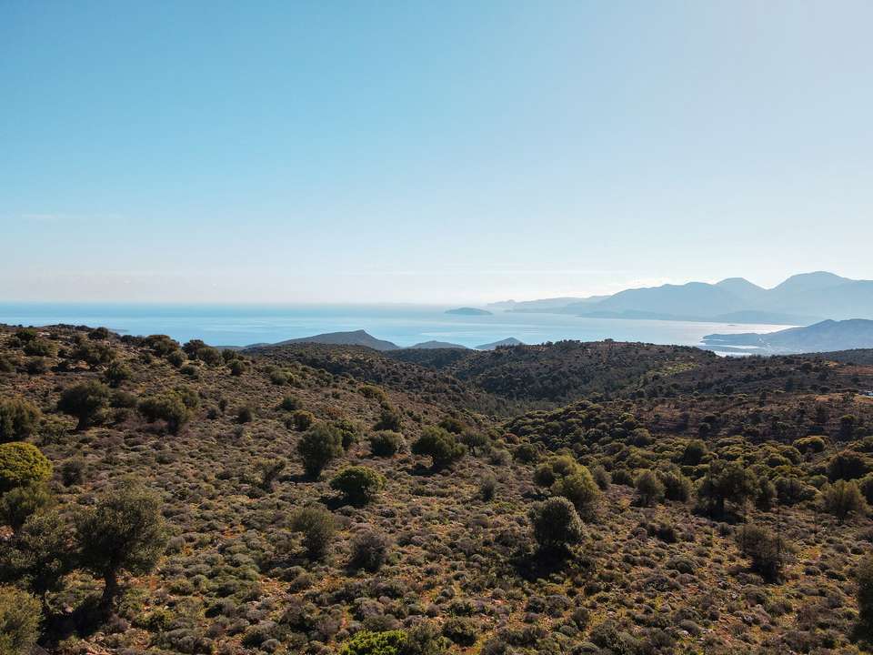 Image 0 of 10