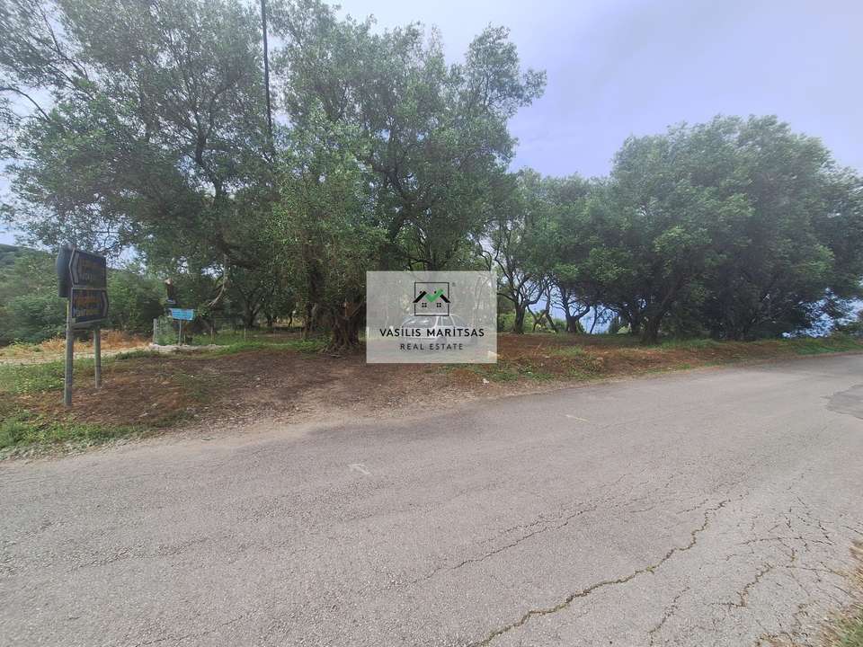 Image 1 of 25