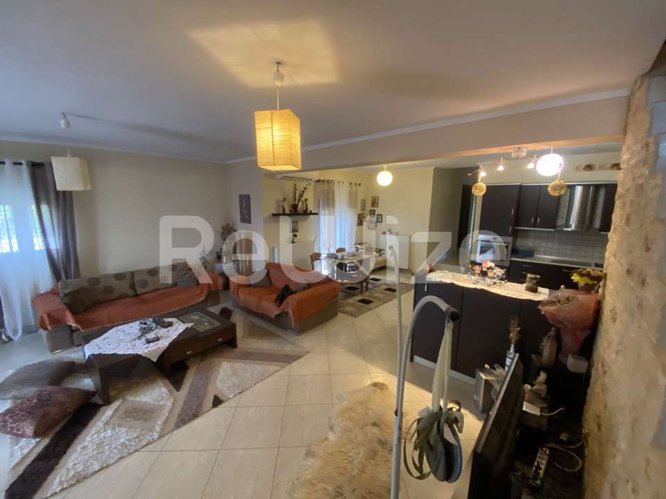 Image 2 of 19