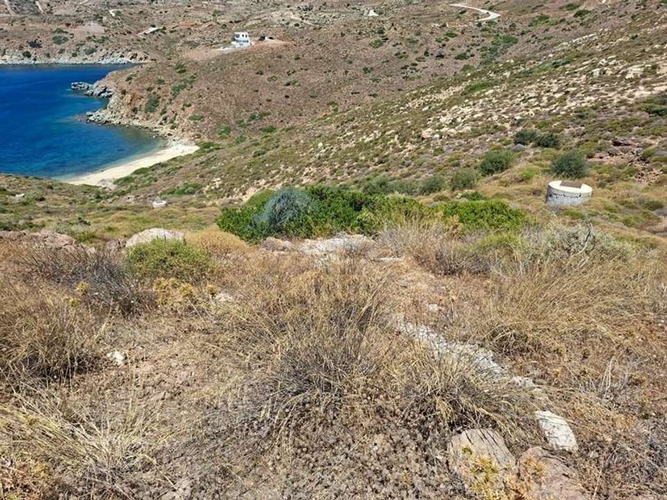 Image 2 of 10