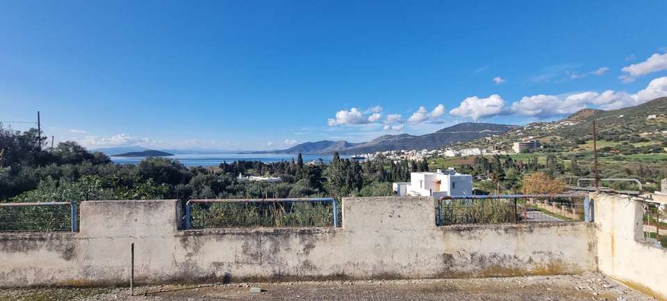 Image 1 of 15