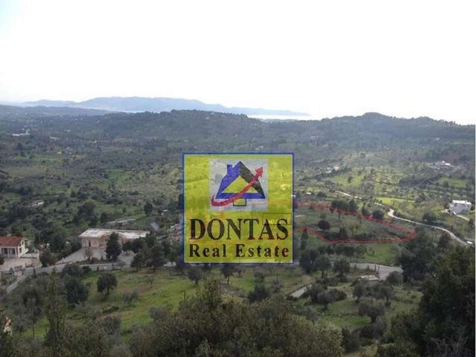 Image 0 of 3