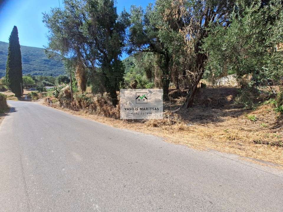 Image 1 of 13
