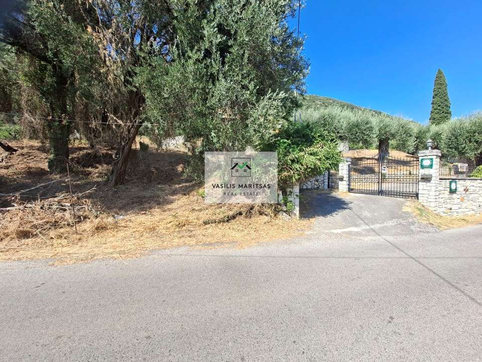 Image 2 of 13