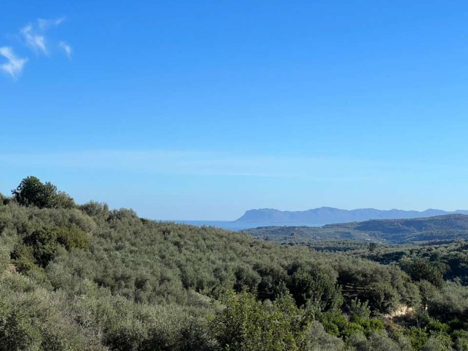 Image 0 of 7