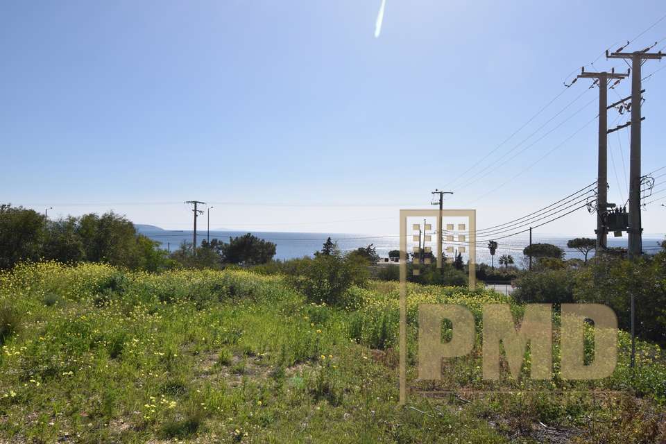 Image 2 of 6