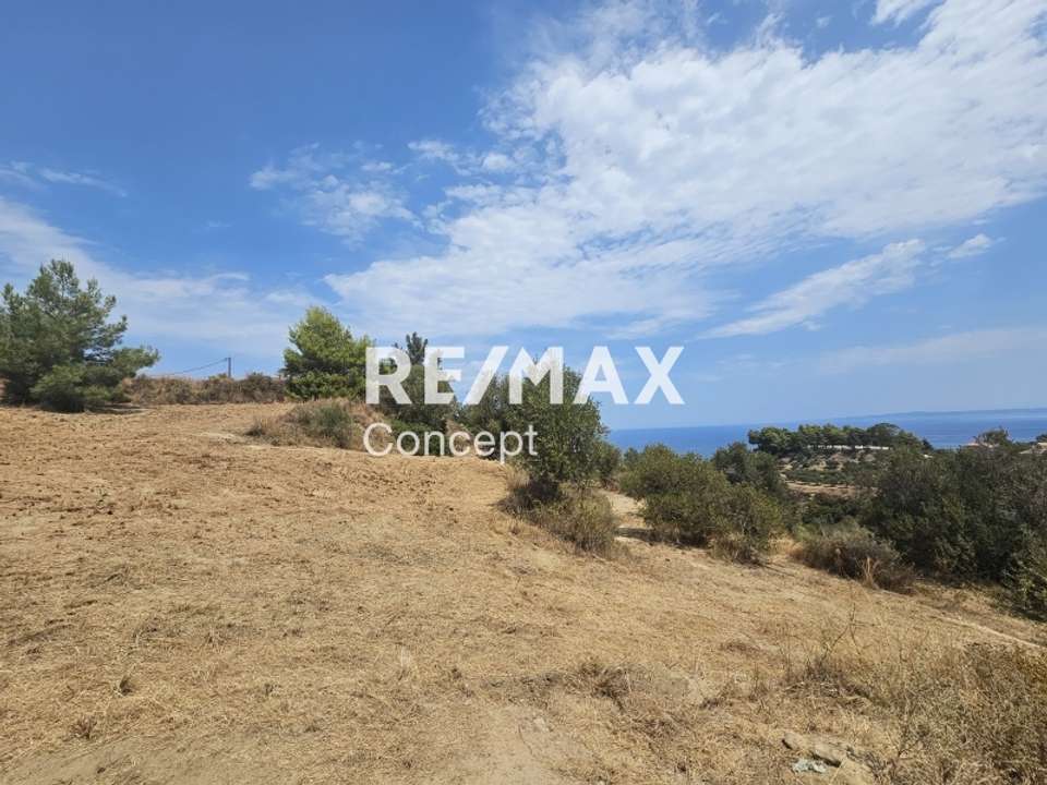 Image 1 of 16