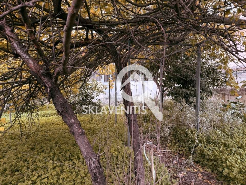 Image 2 of 18
