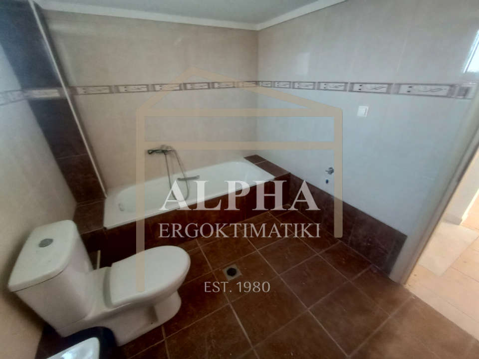 Image 0 of 7