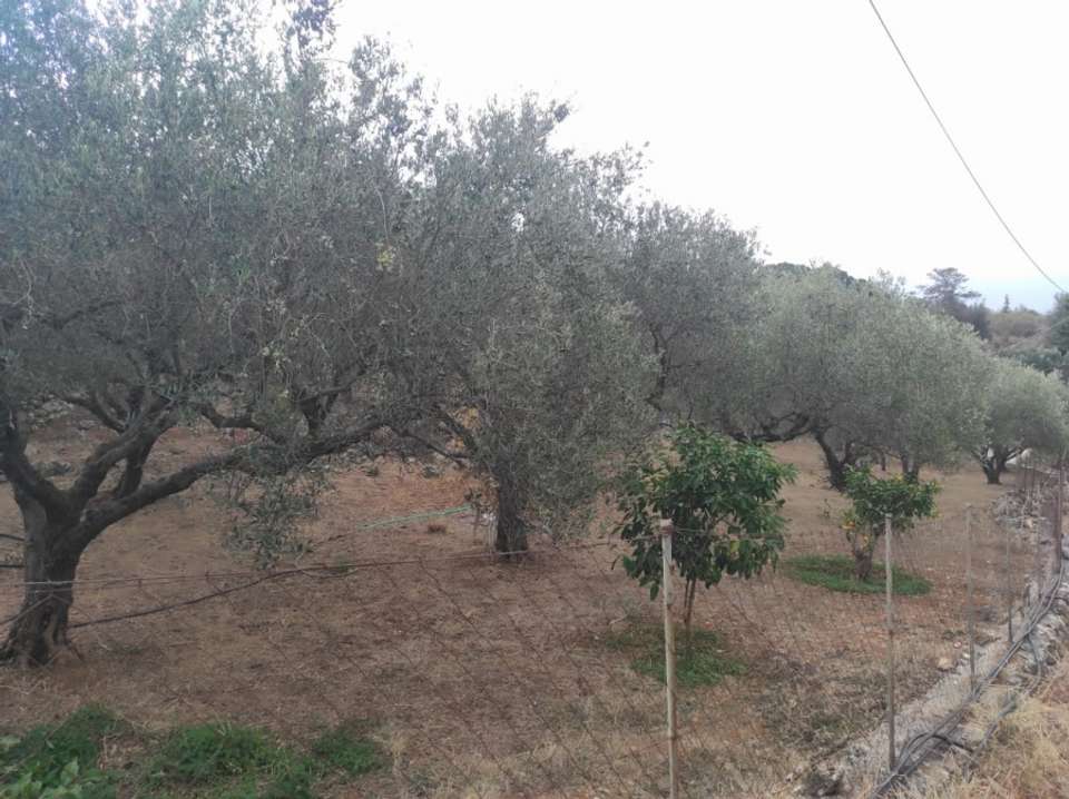 Image 2 of 6