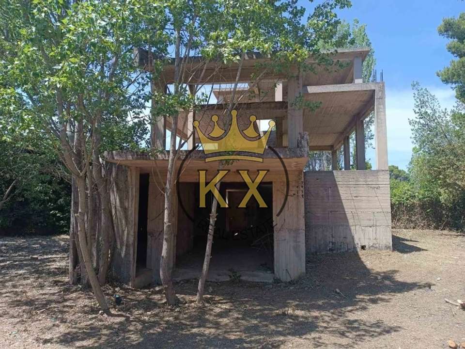 Image 2 of 19