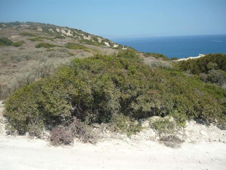 Image 2 of 4