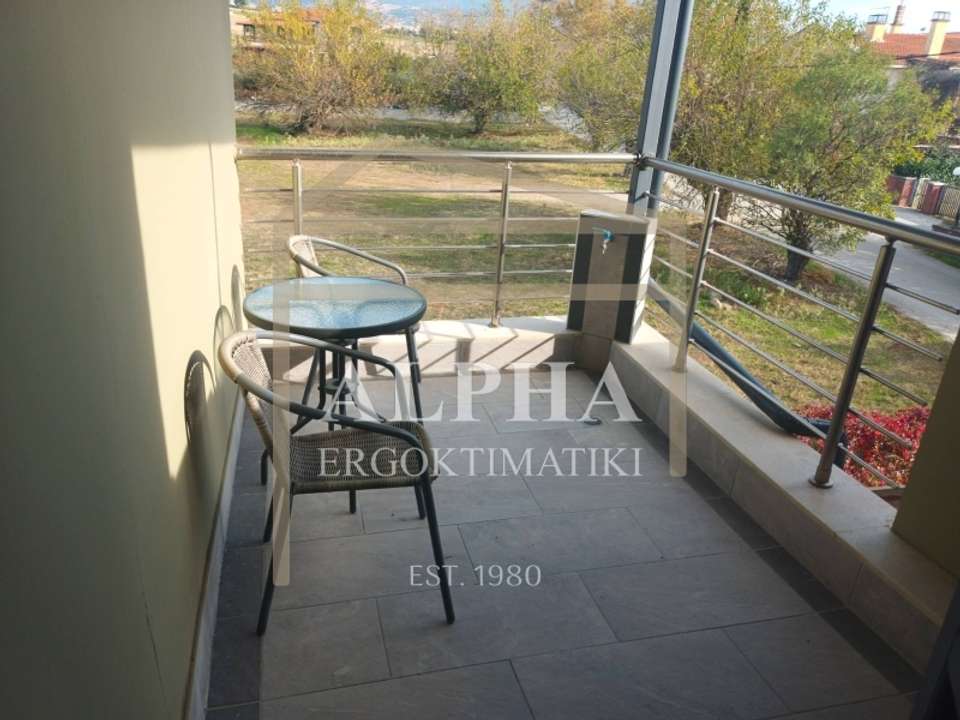 Image 1 of 13