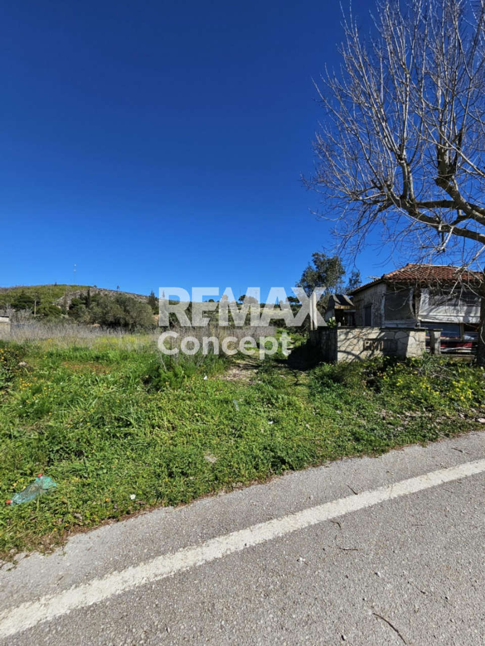 Image 1 of 17