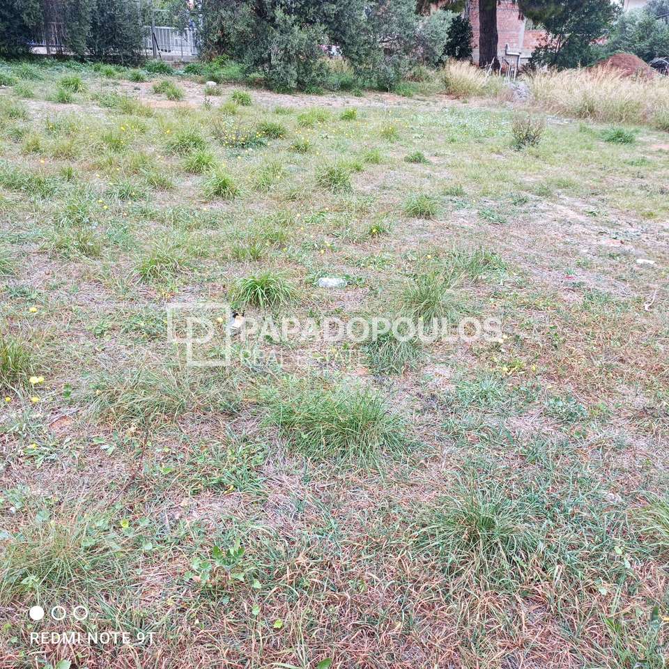 Image 0 of 1