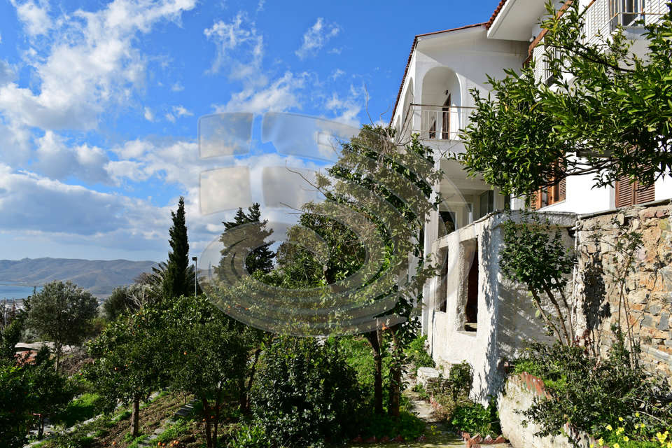 Image 0 of 52