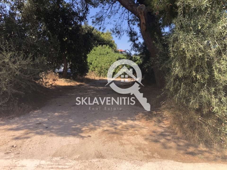 Image 2 of 6