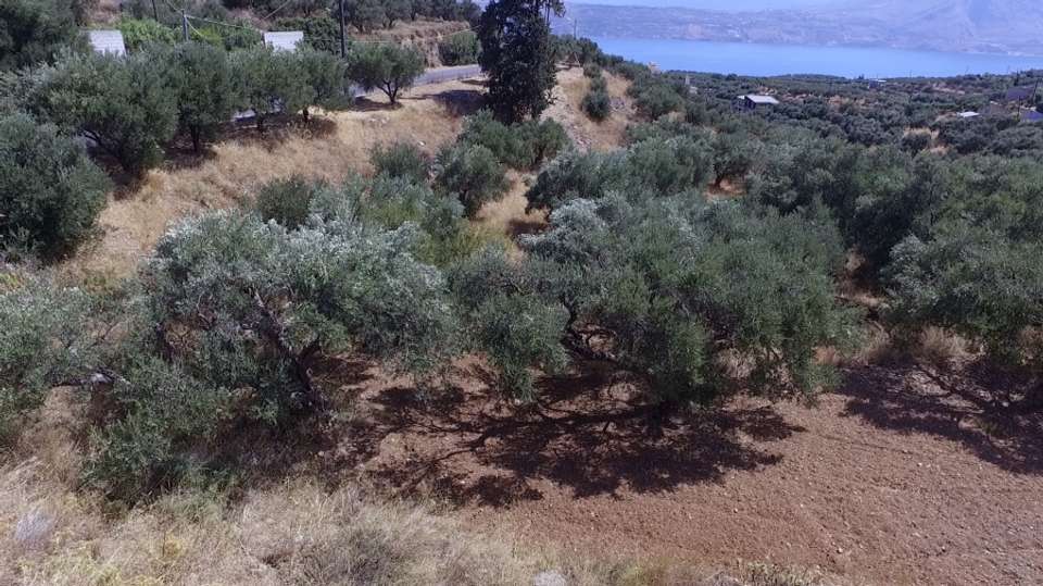 Image 2 of 7