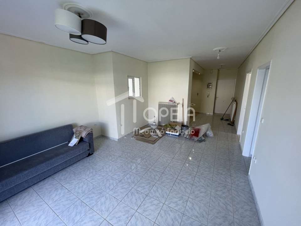 Image 1 of 34