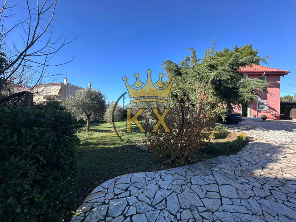 Image 1 of 22