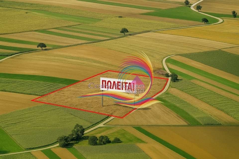 Image 0 of 2